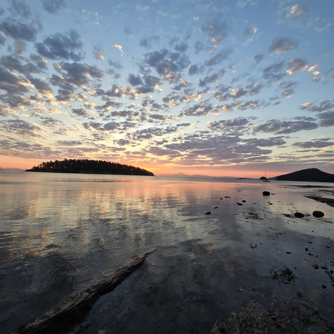 Discovering Tranquility and Native Treasures: Mayne Island's Hidden Gems
