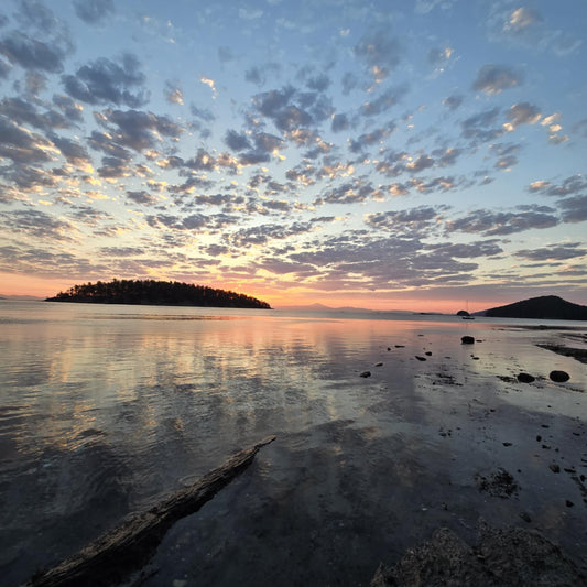 Discovering Tranquility and Native Treasures: Mayne Island's Hidden Gems