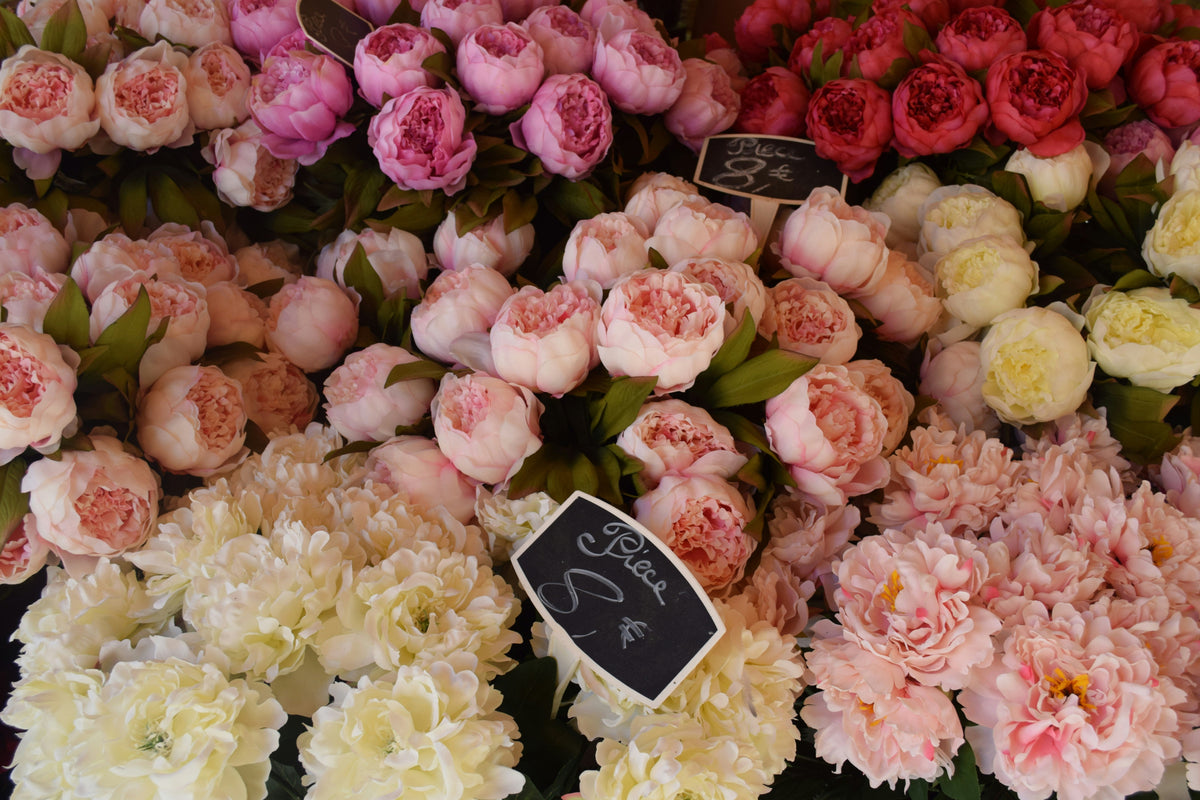 The Magic of Mayne's Roadside Farm Stands
