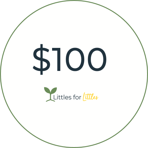 $100 | Gift of support | Littles for Littles