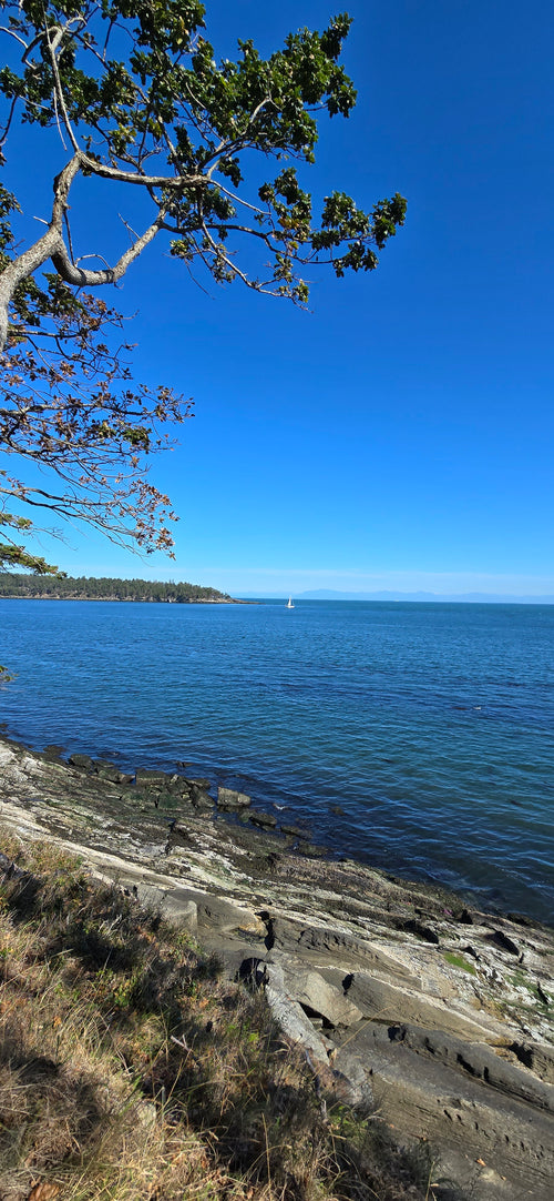 St. John Regional Park 