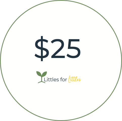 $25 | Gift of support | Littles for Littles