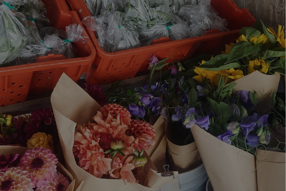 hardscrabble farm stand with flowers and peas on Mayne Island British Columbia